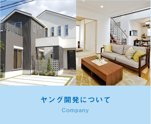 ヤング開発について